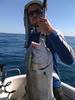 89cm to fork goldspot trevally